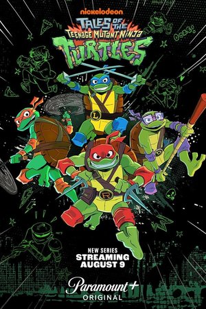 Tales of the Teenage Mutant Ninja Turtles Season 1 Series Download