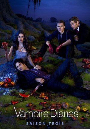 The Vampire Diaries Season 1 - 8 Series Download